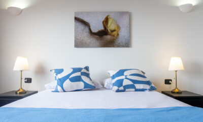 Benijo- Bencomo Coliving