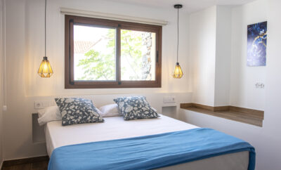 Lagarto Tizón- Bencomo Coliving